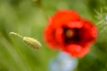 Similar image 14870143