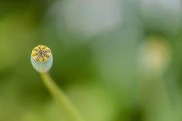 Similar image 14870188