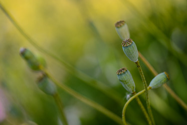 Similar image 14870189