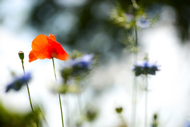 Similar image 14870191