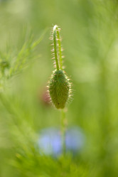 Similar image 14870192