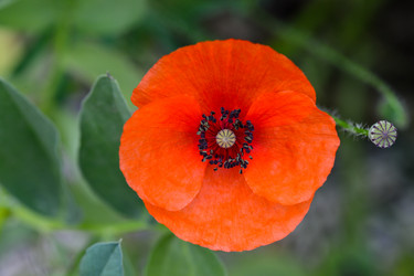 Similar image 14870159