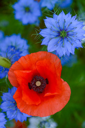 Similar image 14870393