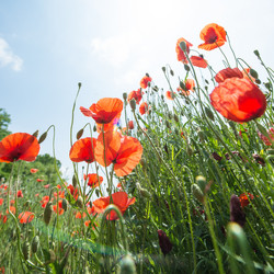 Similar image 14870407