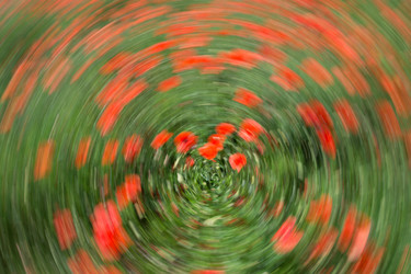 Similar image 14870409