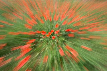 Similar image 14870410