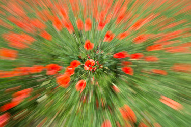 Similar image 14870411