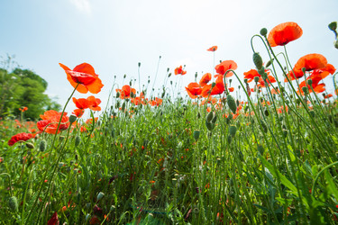 Similar image 14870417