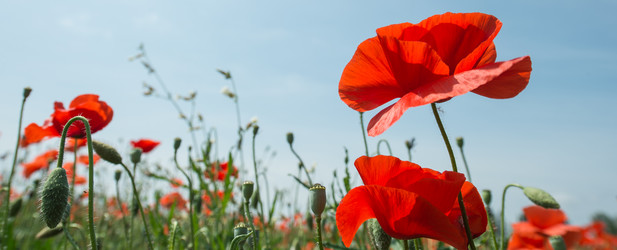 Similar image 14870420