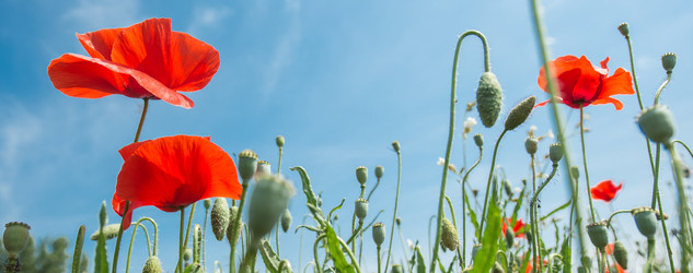 Similar image 14870461