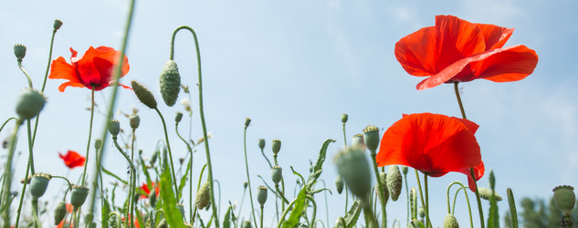 Similar image 14870464