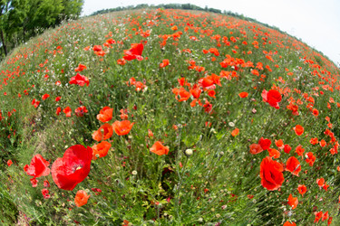 Similar image 14870500