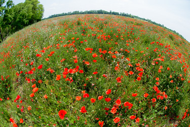 Similar image 14870503