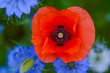 Similar image 14870527