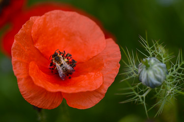 Similar image 14870477