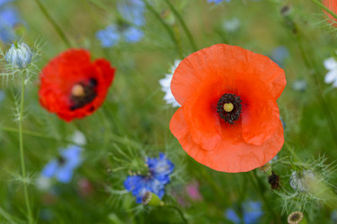 Similar image 14870499