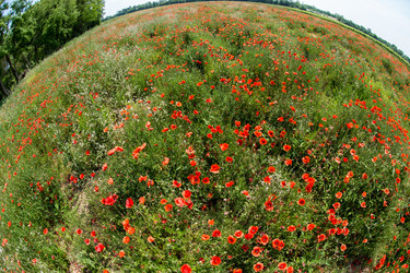 Similar image 14870654