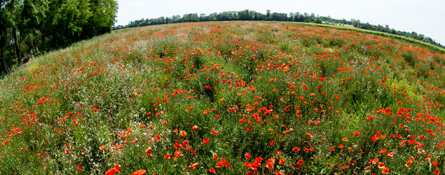 Similar image 14870655