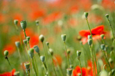 Similar image 14870668