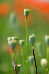 Similar image 14870669