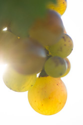 Similar image 14512174