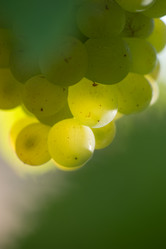 Similar image 14512175