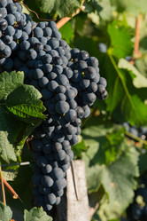 Similar image 14870126