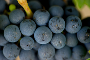 Similar image 14870128