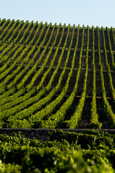 Similar image 14870397