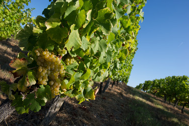 Similar image 14870413