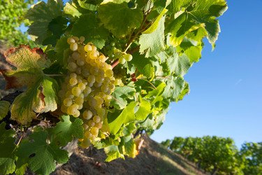 Similar image 14870418