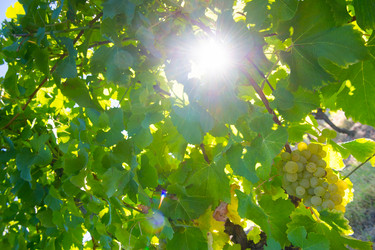 Similar image 14870421