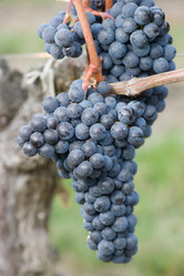 Similar image 14870424