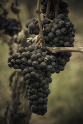 Similar image 14870428