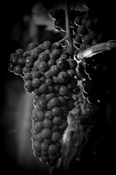 Similar image 14870439