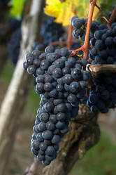 Similar image 14870442