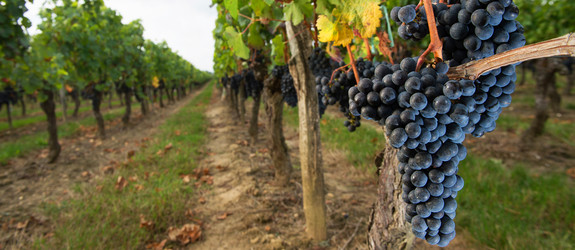 Similar image 14870408