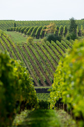 Similar image 14870436