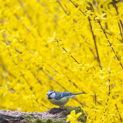 Similar image 14870605