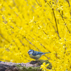 Similar image 14870606