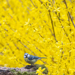 Similar image 14870607