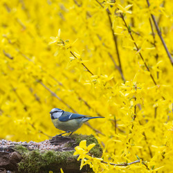 Similar image 14870609