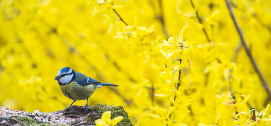 Similar image 14870629