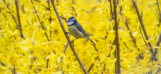 Similar image 14870630