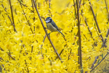 Similar image 14870631