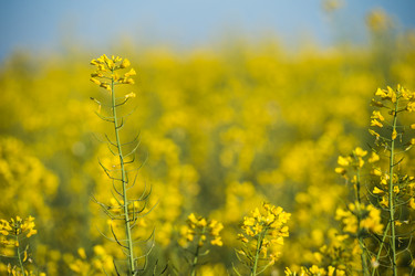 Similar image 14870179