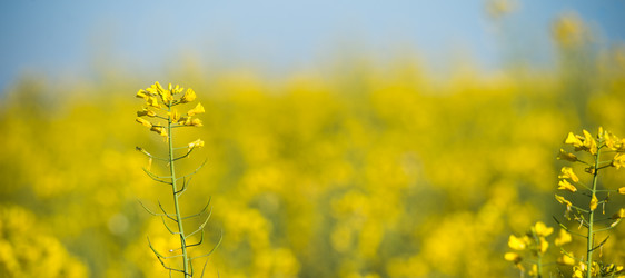 Similar image 14870180