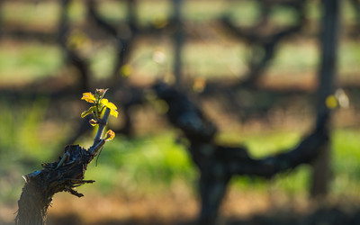 Similar image 14870210