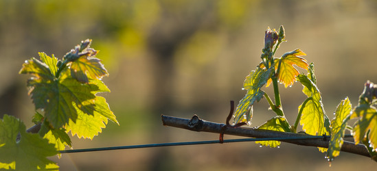 Similar image 14870230