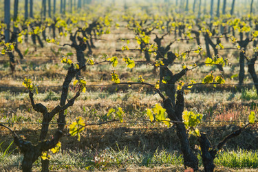 Similar image 14870231